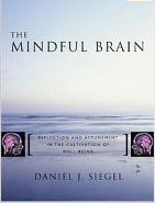 The Mindful Brain