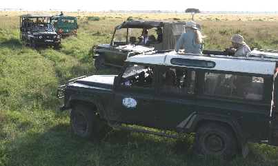 On safari in Nairobi, Kenya -- spotting lions